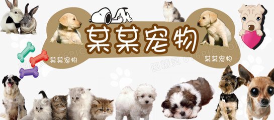 tokenpocket合法